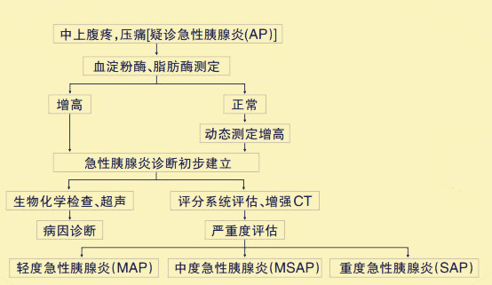 图1  《中国急性胰腺炎诊治指南》(2013版)ap诊断流程图